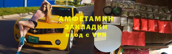 сатива Няндома